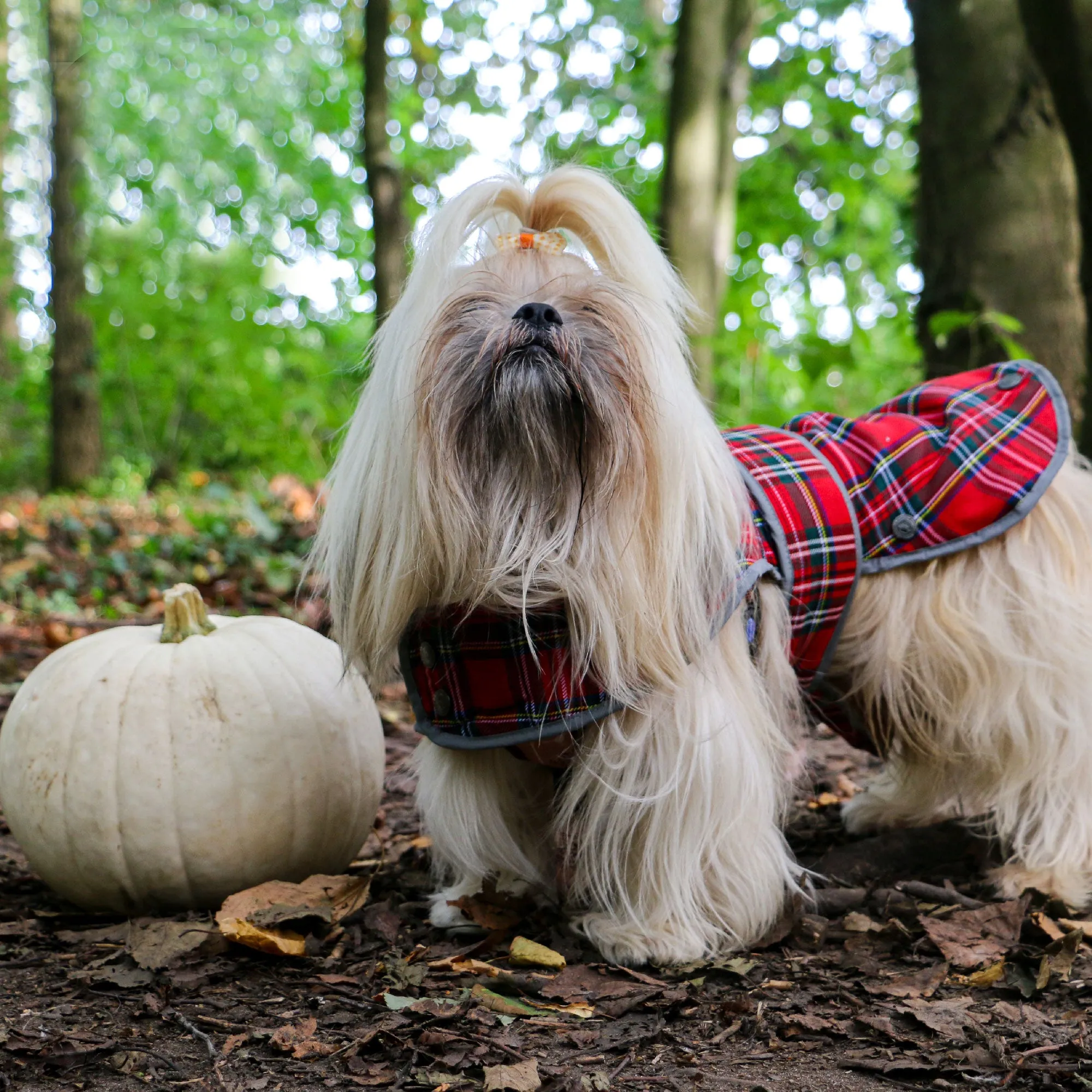 Ancol Highland Tartan Dog Coat