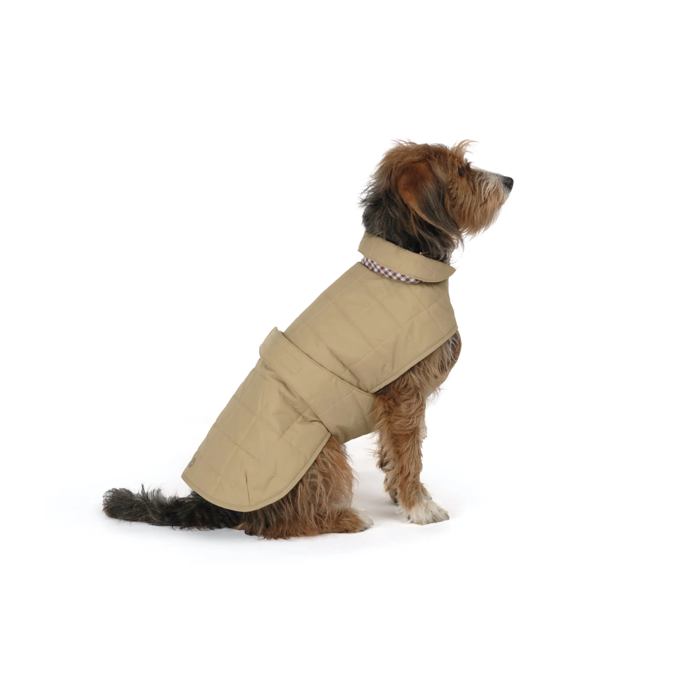 Quilted Dog Coat