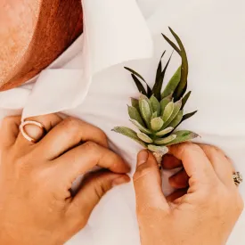 Succulent Boutonniere