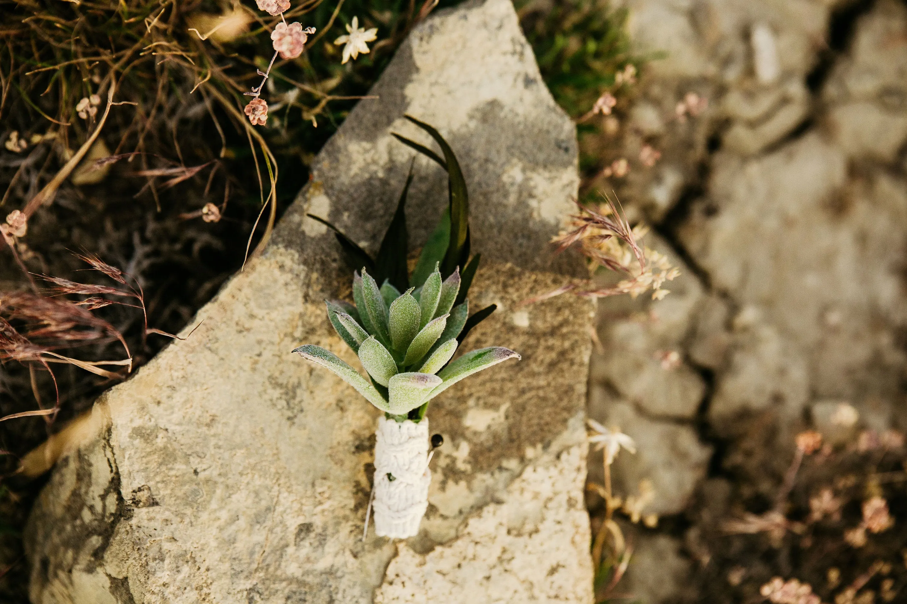 Succulent Boutonniere